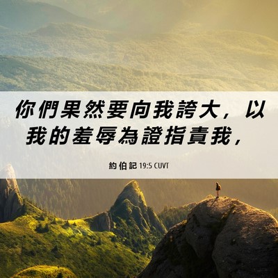 Picture 06 - 約 伯 記 19:5 CUVT - 你 們 果 然 要 向 我 誇 大 ， 以 我 - Bible Verse Picture
