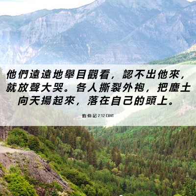 Picture 06 - 約 伯 記 2:12 CUVT - 他 們 遠 遠 地 舉 目 觀 看 ， 認 不 - Bible Verse Picture
