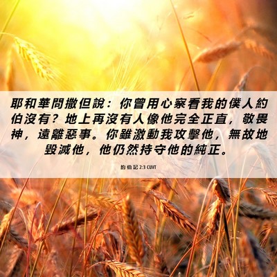 Picture 06 - 約 伯 記 2:3 CUVT - 耶 和 華 問 撒 但 說 ： 你 曾 用 心 - Bible Verse Picture