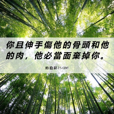 Picture 06 - 約 伯 記 2:5 CUVT - 你 且 伸 手 傷 他 的 骨 頭 和 他 的 - Bible Verse Picture
