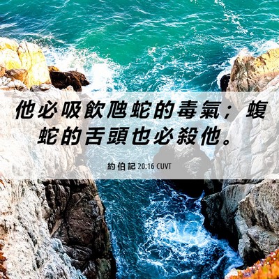Picture 06 - 約 伯 記 20:16 CUVT - 他 必 吸 飲 虺 蛇 的 毒 氣 ； 蝮 蛇 - Bible Verse Picture