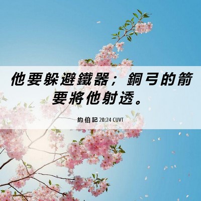 Picture 06 - 約 伯 記 20:24 CUVT - 他 要 躲 避 鐵 器 ； 銅 弓 的 箭 要 - Bible Verse Picture