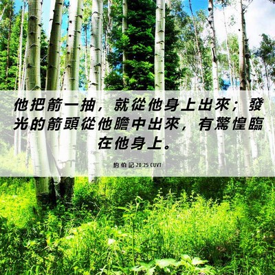 Picture 06 - 約 伯 記 20:25 CUVT - 他 把 箭 一 抽 ， 就 從 他 身 上 出 - Bible Verse Picture