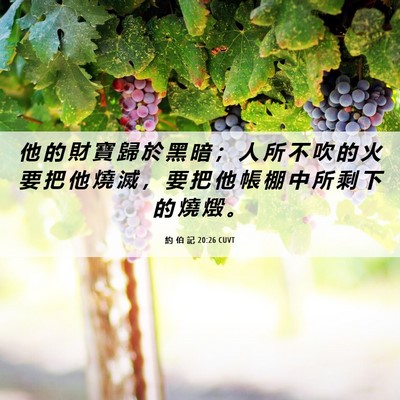 Picture 06 - 約 伯 記 20:26 CUVT - 他 的 財 寶 歸 於 黑 暗 ； 人 所 不 - Bible Verse Picture