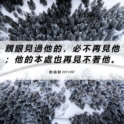 Picture 06 - 約 伯 記 20:9 CUVT - 親 眼 見 過 他 的 ， 必 不 再 見 他 - Bible Verse Picture