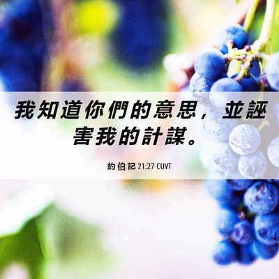Picture 06 - 約 伯 記 21:27 CUVT - 我 知 道 你 們 的 意 思 ， 並 誣 害 - Bible Verse Picture