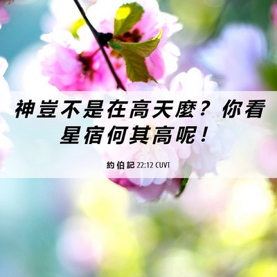 Picture 06 - 約 伯 記 22:12 CUVT - 神 豈 不 是 在 高 天 麼 ？ 你 看 星 - Bible Verse Picture