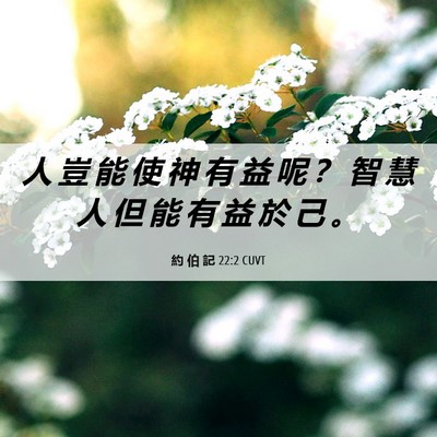 Picture 06 - 約 伯 記 22:2 CUVT - 人 豈 能 使 神 有 益 呢 ？ 智 慧 人 - Bible Verse Picture