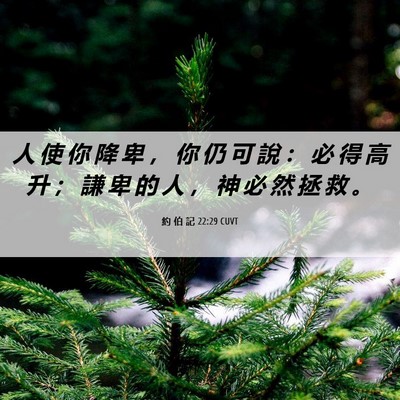 Picture 06 - 約 伯 記 22:29 CUVT - 人 使 你 降 卑 ， 你 仍 可 說 ： 必 - Bible Verse Picture