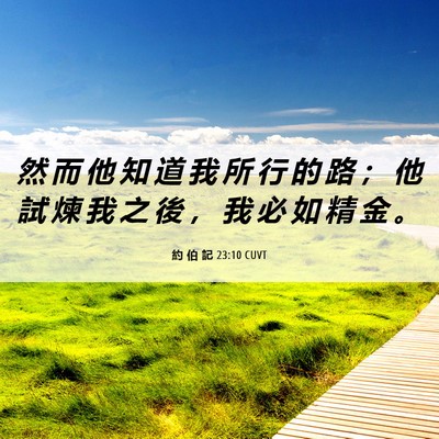 Picture 06 - 約 伯 記 23:10 CUVT - 然 而 他 知 道 我 所 行 的 路 ； 他 - Bible Verse Picture
