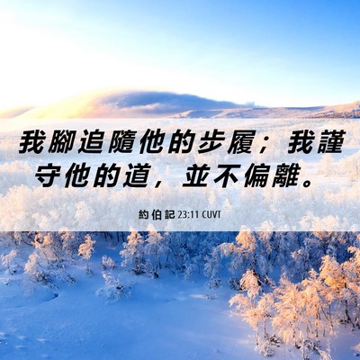 Picture 06 - 約 伯 記 23:11 CUVT - 我 腳 追 隨 他 的 步 履 ； 我 謹 守 - Bible Verse Picture