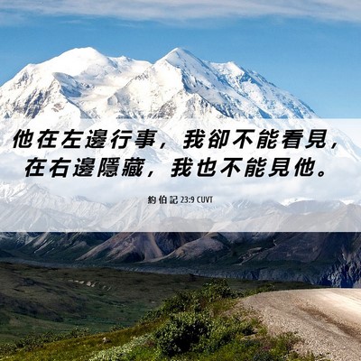Picture 06 - 約 伯 記 23:9 CUVT - 他 在 左 邊 行 事 ， 我 卻 不 能 看 - Bible Verse Picture