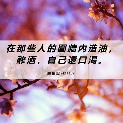 Picture 06 - 約 伯 記 24:11 CUVT - 在 那 些 人 的 圍 牆 內 造 油 ， 醡 - Bible Verse Picture