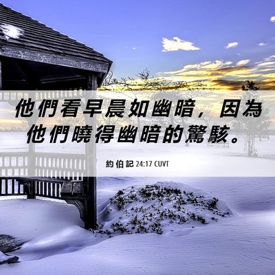 Picture 06 - 約 伯 記 24:17 CUVT - 他 們 看 早 晨 如 幽 暗 ， 因 為 他 - Bible Verse Picture