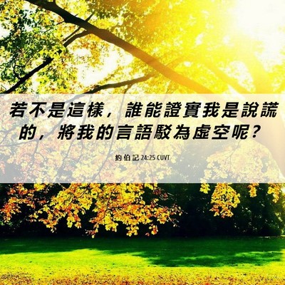 Picture 06 - 約 伯 記 24:25 CUVT - 若 不 是 這 樣 ， 誰 能 證 實 我 是 - Bible Verse Picture