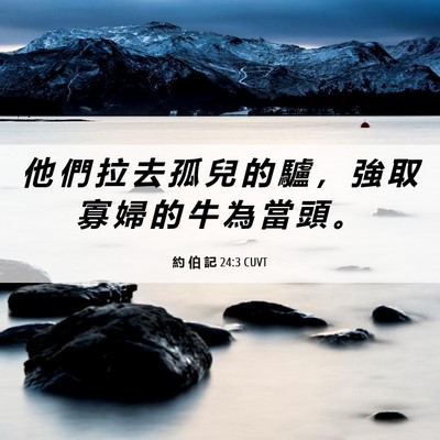 Picture 06 - 約 伯 記 24:3 CUVT - 他 們 拉 去 孤 兒 的 驢 ， 強 取 寡 - Bible Verse Picture