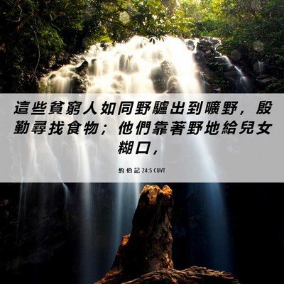 Picture 06 - 約 伯 記 24:5 CUVT - 這 些 貧 窮 人 如 同 野 驢 出 到 曠 - Bible Verse Picture