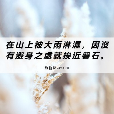 Picture 06 - 約 伯 記 24:8 CUVT - 在 山 上 被 大 雨 淋 濕 ， 因 沒 有 - Bible Verse Picture