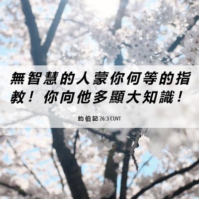 Picture 06 - 約 伯 記 26:3 CUVT - 無 智 慧 的 人 蒙 你 何 等 的 指 教 - Bible Verse Picture