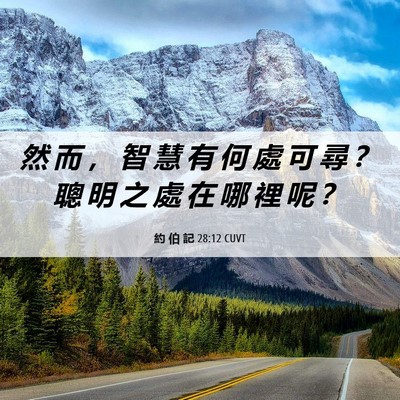 Picture 06 - 約 伯 記 28:12 CUVT - 然 而 ， 智 慧 有 何 處 可 尋 ？ 聰 - Bible Verse Picture
