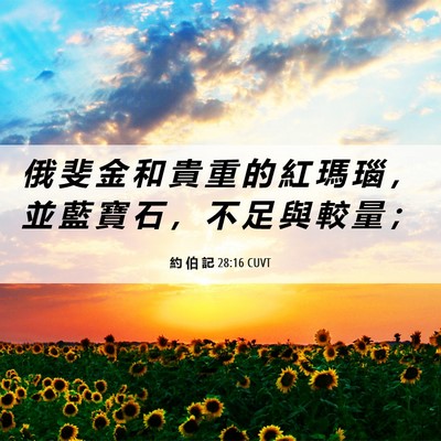 Picture 06 - 約 伯 記 28:16 CUVT - 俄 斐 金 和 貴 重 的 紅 瑪 瑙 ， 並 - Bible Verse Picture
