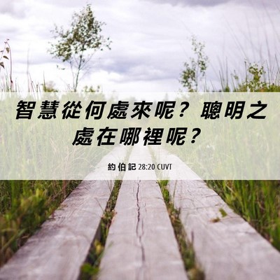 Picture 06 - 約 伯 記 28:20 CUVT - 智 慧 從 何 處 來 呢 ？ 聰 明 之 處 - Bible Verse Picture