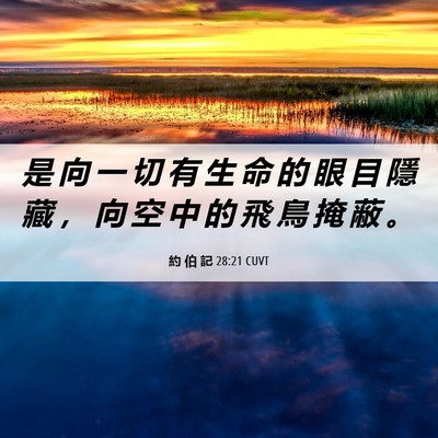 Picture 06 - 約 伯 記 28:21 CUVT - 是 向 一 切 有 生 命 的 眼 目 隱 藏 - Bible Verse Picture
