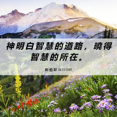 Picture 06 - 約 伯 記 28:23 CUVT - 神 明 白 智 慧 的 道 路 ， 曉 得 智 - Bible Verse Picture