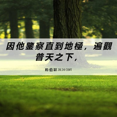 Picture 06 - 約 伯 記 28:24 CUVT - 因 他 鑒 察 直 到 地 極 ， 遍 觀 普 - Bible Verse Picture