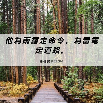 Picture 06 - 約 伯 記 28:26 CUVT - 他 為 雨 露 定 命 令 ， 為 雷 電 定 - Bible Verse Picture