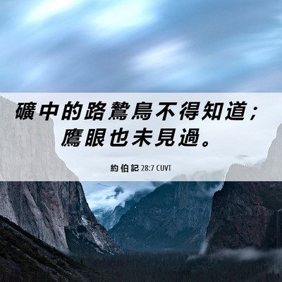 Picture 06 - 約 伯 記 28:7 CUVT - 礦 中 的 路 鷙 鳥 不 得 知 道 ； 鷹 - Bible Verse Picture