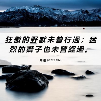 Picture 06 - 約 伯 記 28:8 CUVT - 狂 傲 的 野 獸 未 曾 行 過 ； 猛 烈 - Bible Verse Picture