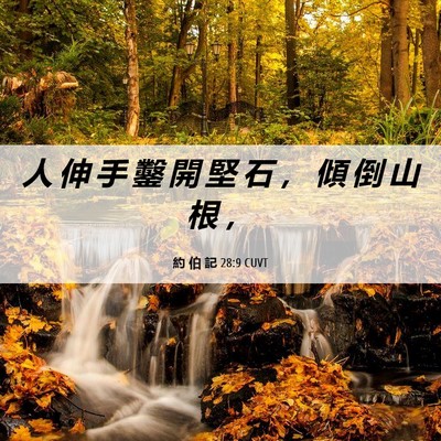 Picture 06 - 約 伯 記 28:9 CUVT - 人 伸 手 鑿 開 堅 石 ， 傾 倒 山 根 - Bible Verse Picture