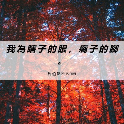 Picture 06 - 約 伯 記 29:15 CUVT - 我 為 瞎 子 的 眼 ， 瘸 子 的 腳 - Bible Verse Picture