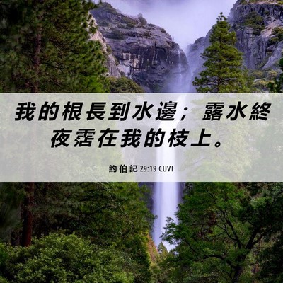 Picture 06 - 約 伯 記 29:19 CUVT - 我 的 根 長 到 水 邊 ； 露 水 終 夜 - Bible Verse Picture