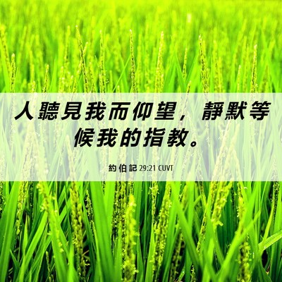 Picture 06 - 約 伯 記 29:21 CUVT - 人 聽 見 我 而 仰 望 ， 靜 默 等 候 - Bible Verse Picture