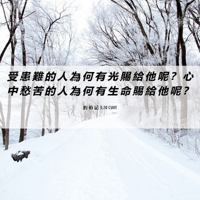 Picture 06 - 約 伯 記 3:20 CUVT - 受 患 難 的 人 為 何 有 光 賜 給 他 - Bible Verse Picture