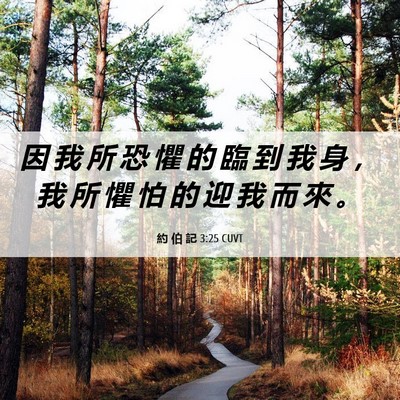 Picture 06 - 約 伯 記 3:25 CUVT - 因 我 所 恐 懼 的 臨 到 我 身 ， 我 - Bible Verse Picture