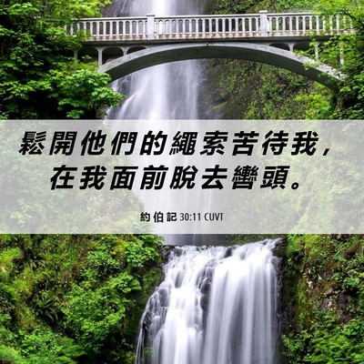 Picture 06 - 約 伯 記 30:11 CUVT - 鬆 開 他 們 的 繩 索 苦 待 我 ， 在 - Bible Verse Picture