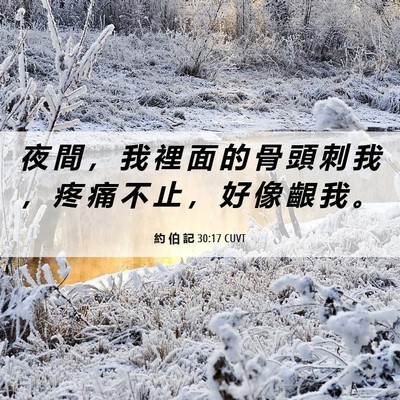 Picture 06 - 約 伯 記 30:17 CUVT - 夜 間 ， 我 裡 面 的 骨 頭 刺 我 ， - Bible Verse Picture