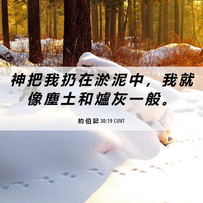 Picture 06 - 約 伯 記 30:19 CUVT - 神 把 我 扔 在 淤 泥 中 ， 我 就 像 - Bible Verse Picture