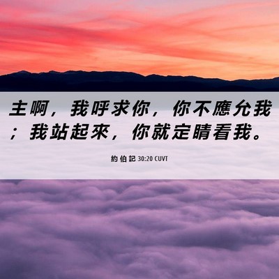 Picture 06 - 約 伯 記 30:20 CUVT - 主 啊 ， 我 呼 求 你 ， 你 不 應 允 - Bible Verse Picture