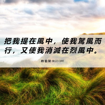 Picture 06 - 約 伯 記 30:22 CUVT - 把 我 提 在 風 中 ， 使 我 駕 風 而 - Bible Verse Picture
