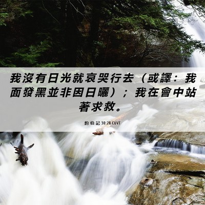 Picture 06 - 約 伯 記 30:28 CUVT - 我 沒 有 日 光 就 哀 哭 行 去 （ 或 - Bible Verse Picture