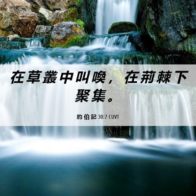 Picture 06 - 約 伯 記 30:7 CUVT - 在 草 叢 中 叫 喚 ， 在 荊 棘 下 聚 - Bible Verse Picture