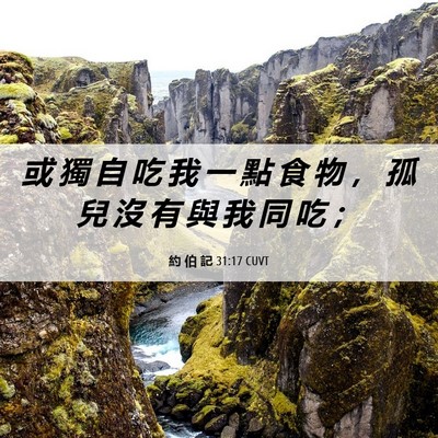 Picture 06 - 約 伯 記 31:17 CUVT - 或 獨 自 吃 我 一 點 食 物 ， 孤 兒 - Bible Verse Picture