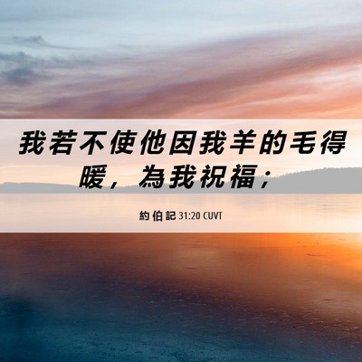 Picture 06 - 約 伯 記 31:20 CUVT - 我 若 不 使 他 因 我 羊 的 毛 得 暖 - Bible Verse Picture