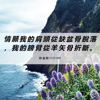 Picture 06 - 約 伯 記 31:22 CUVT - 情 願 我 的 肩 頭 從 缺 盆 骨 脫 落 - Bible Verse Picture