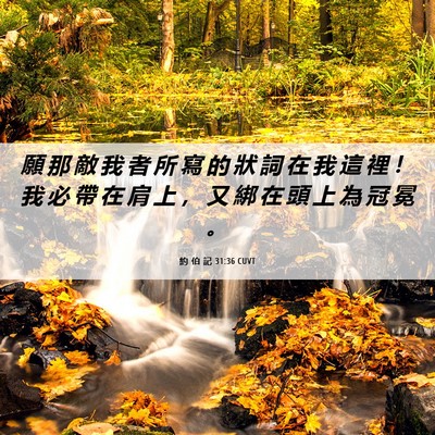 Picture 06 - 約 伯 記 31:36 CUVT - 願 那 敵 我 者 所 寫 的 狀 詞 在 我 - Bible Verse Picture