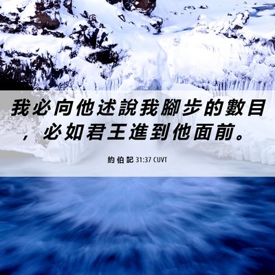 Picture 06 - 約 伯 記 31:37 CUVT - 我 必 向 他 述 說 我 腳 步 的 數 目 - Bible Verse Picture